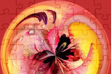 Abstract Flower