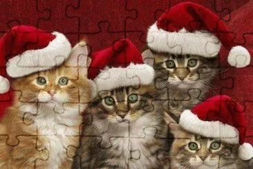 (155) Gatinhos jigsaw puzzle