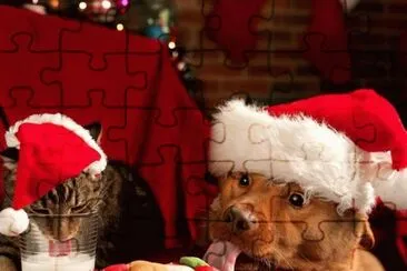 (156) Animais jigsaw puzzle