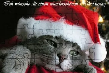 Katze