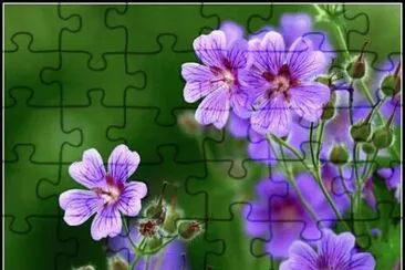  jigsaw puzzle