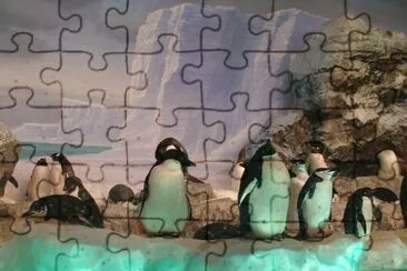 pinguim