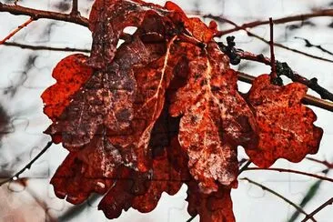 Vorwinter jigsaw puzzle