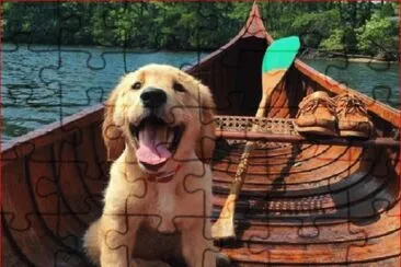 PERRO BALSERO jigsaw puzzle