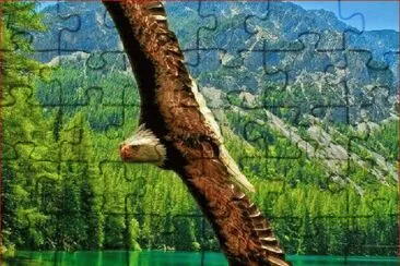 AGUILA CALVA jigsaw puzzle