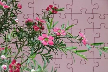 imagens jigsaw puzzle