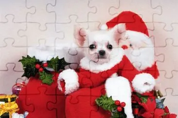 Adorable Christmas Puppy