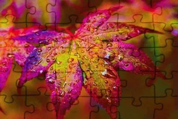 (179) Folha jigsaw puzzle