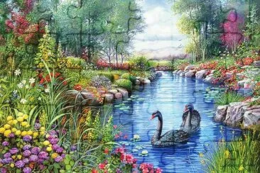 cisnes