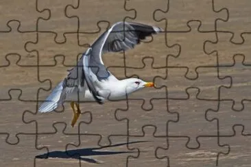 Fuerte Ventura jigsaw puzzle