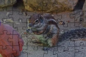 Fuerte Ventura jigsaw puzzle