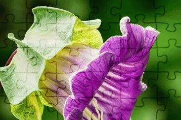 imagens jigsaw puzzle
