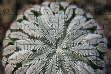 planta simÃ©trica
