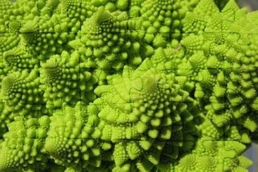 brÃ³coli