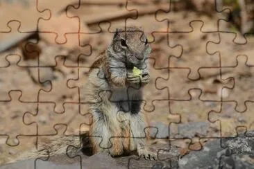 Fuerte Ventura jigsaw puzzle