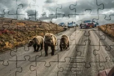 Familia de Osos en Alaska jigsaw puzzle