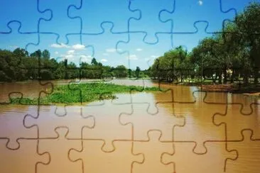 Villa Paranacito. Entre RÃ­os. Argentina jigsaw puzzle