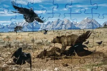 Parque Nacional Grand TetÃ³n jigsaw puzzle