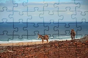 Fuerte Ventura jigsaw puzzle