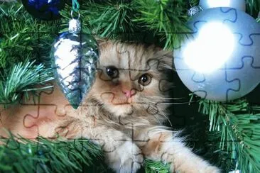 פאזל של (189) Gatinho