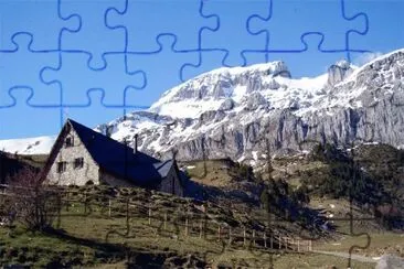 Bisaurin jigsaw puzzle