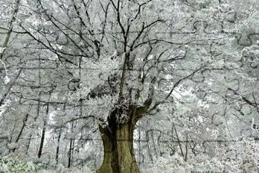 imagens jigsaw puzzle