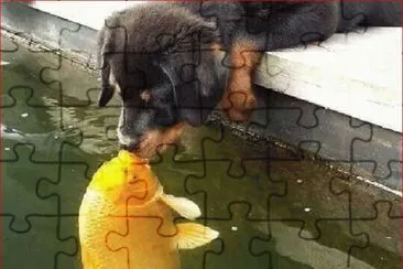 VERDADERO AMOR jigsaw puzzle