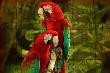 GUACAMAYAS jigsaw puzzle