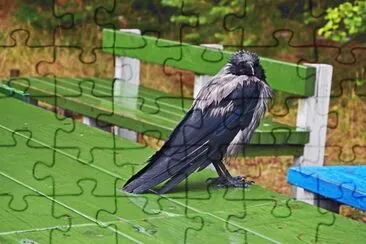Baltikum / Nida / Litauen jigsaw puzzle