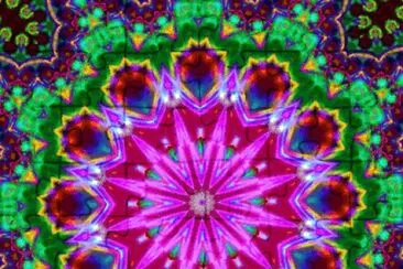 Bunt