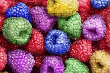 Raspberry 's jigsaw puzzle