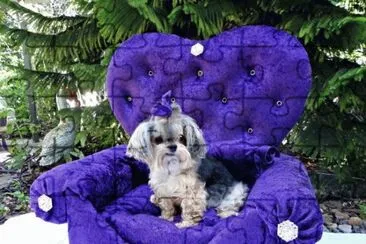 פאזל של Purple Princess Dog Bed
