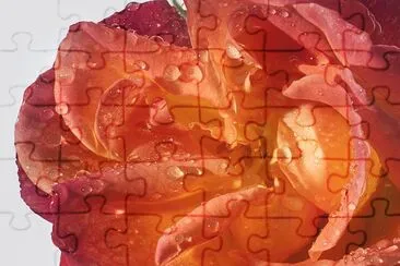 rain jigsaw puzzle