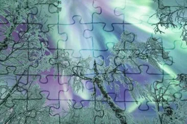  jigsaw puzzle