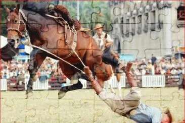 MAL JINETE jigsaw puzzle