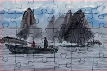 PESCANDO BALLENAS jigsaw puzzle