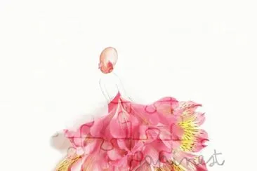 Japinest 5 jigsaw puzzle
