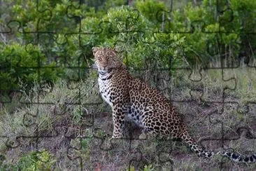 Kenia
