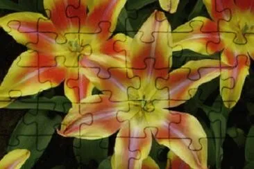 natural jigsaw puzzle