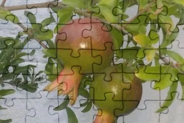 Granadas jigsaw puzzle