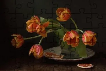 tulipes jigsaw puzzle