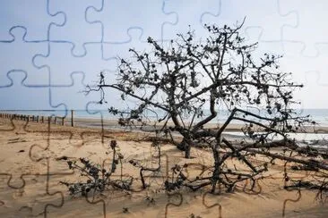 Bibione 01.10 jigsaw puzzle