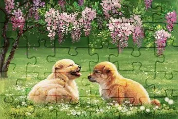amores jigsaw puzzle