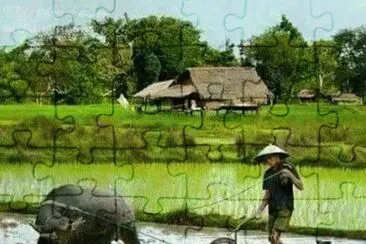 imagens jigsaw puzzle