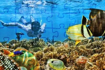 Snorkel. Los Roques - Venezuela