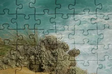 Coastal grasses against water, Australia jigsaw puzzle