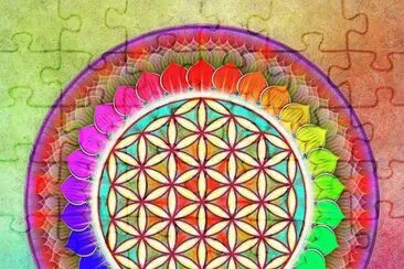 Its A Rainbow Flower