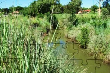 arroyo jigsaw puzzle
