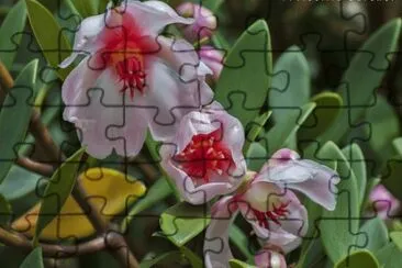 115 jigsaw puzzle