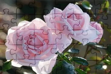 116 jigsaw puzzle